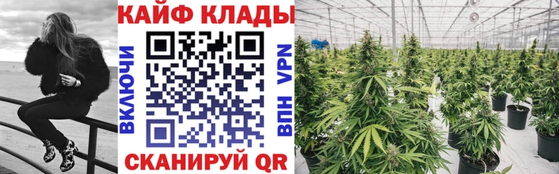 Виды наркотиков купить Казань КОКАИН  Меф мяу мяу  Гашиш  А ПВП  Конопля 