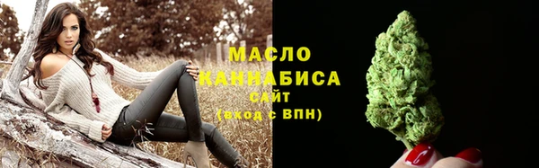 ECSTASY Алзамай