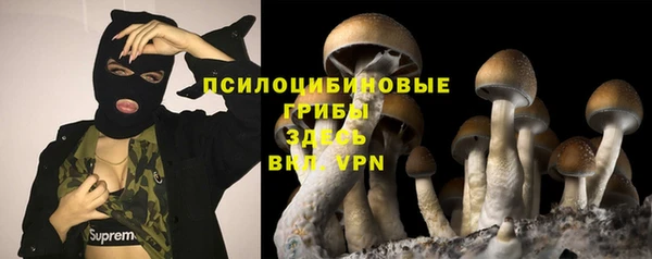 прущие крисы Алексин