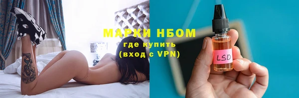 ECSTASY Алзамай