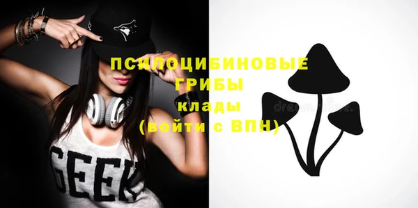 прущие крисы Алексин