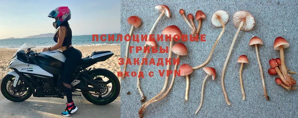 прущие крисы Алексин
