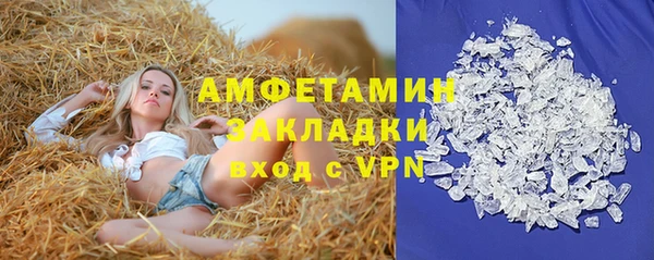 ECSTASY Алзамай