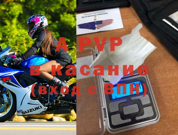 ECSTASY Алзамай
