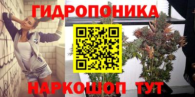 каннабис Гагарин