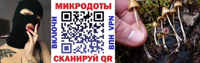 купить наркотики цена  Казань  Галлюциногенные грибы ЛСД 